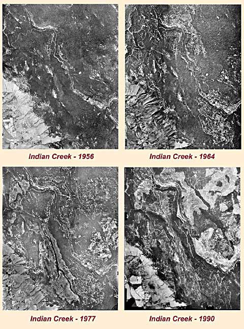 Indian Creek clearcut logging - 1998